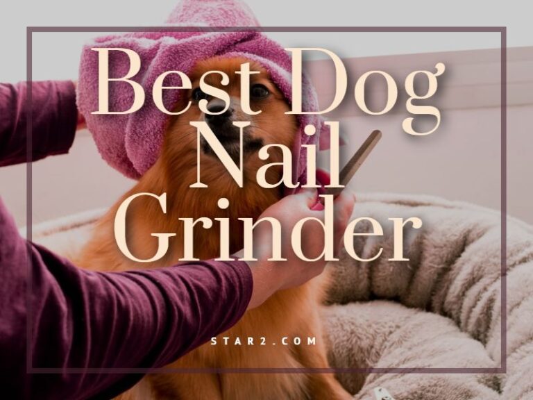 Best Dog Nail Grinder
