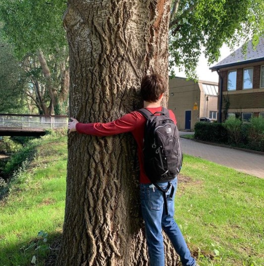 Tubbo abraçando árvore