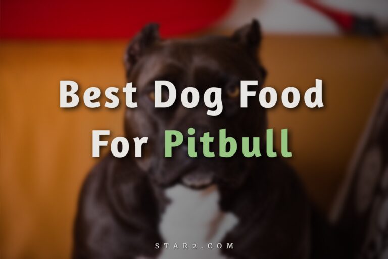 Meilleure nourriture pour chien pour Pitbull