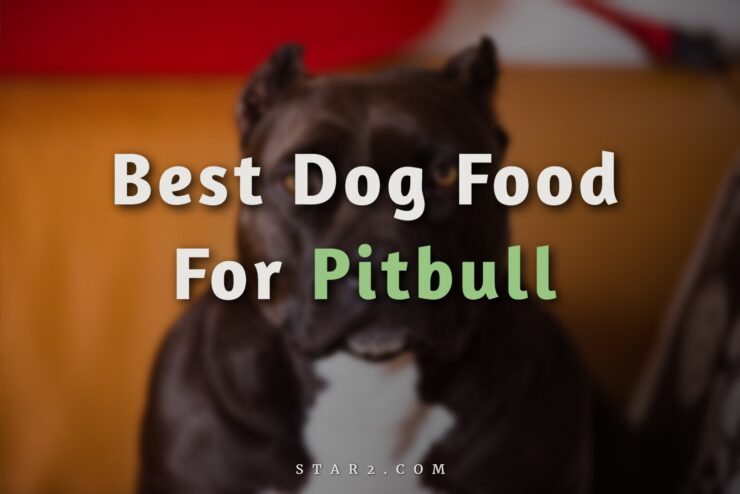 Best Dog Food For Pitbull