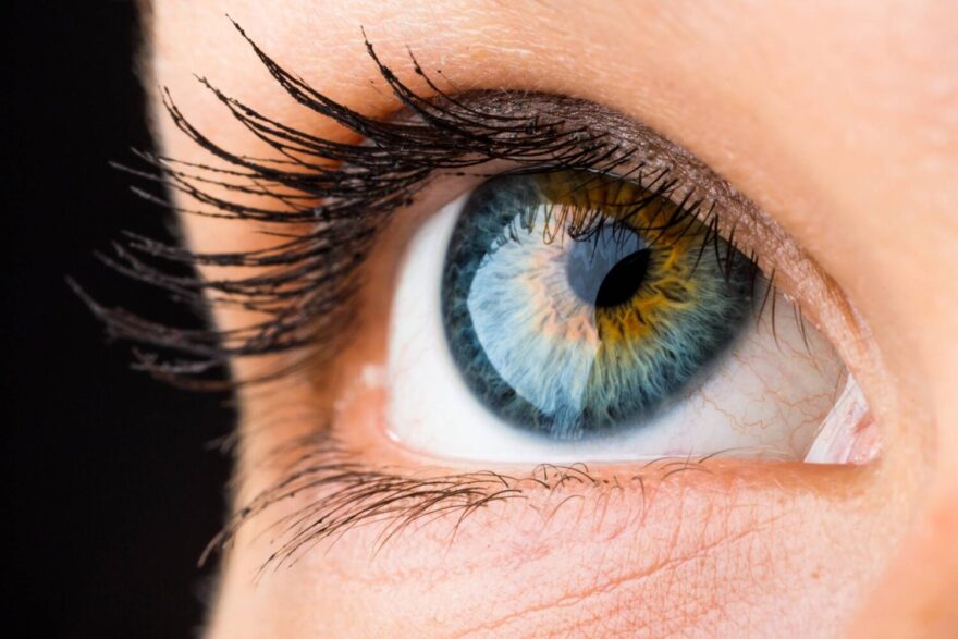 Preserving Long-Term Eye Health