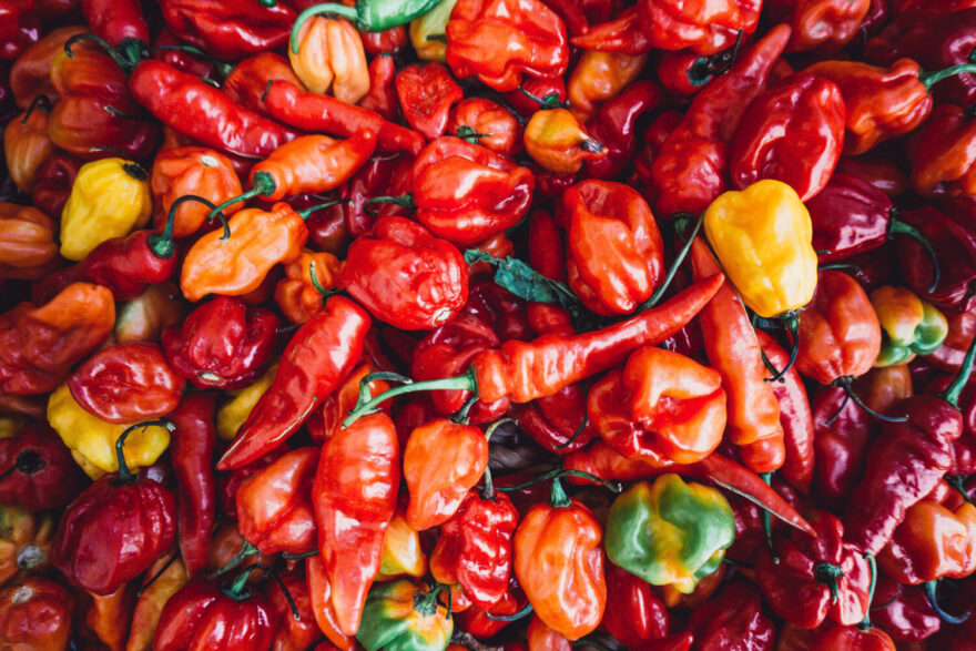 Spicy Peppers Can Reduce the Risk of Cancer