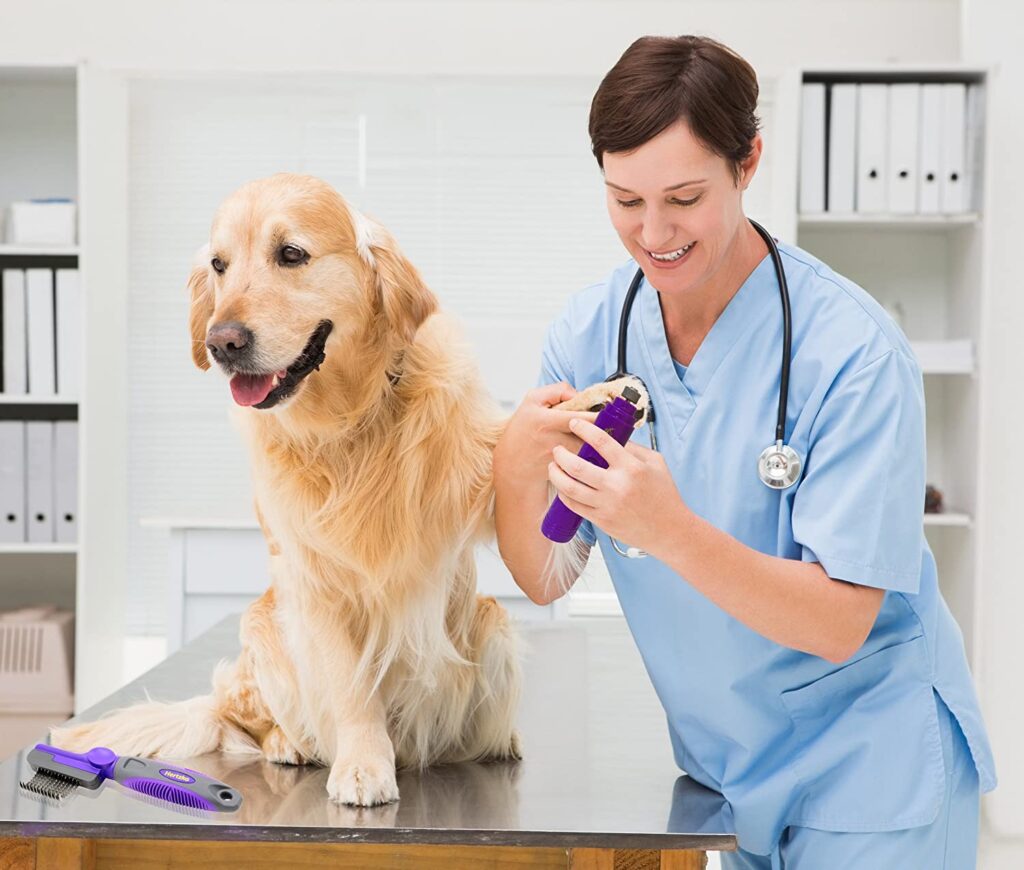 Molinillo de uñas eléctrico para perros de Hertzko--(Mejor molinillo de uñas para perros)